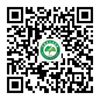 新奥门马网站